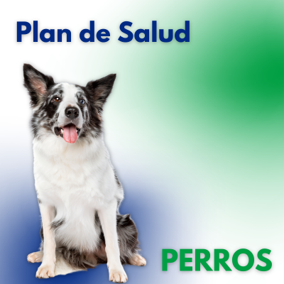 plan de salud perros veterinaria API