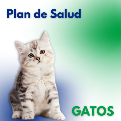 plan de salud gatos veterinaria API